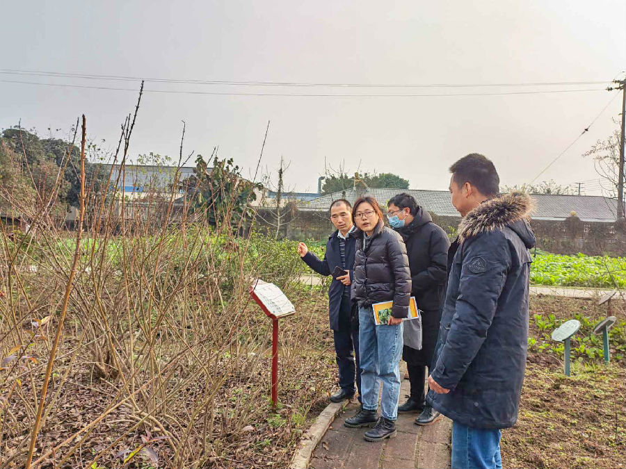 图片4(1).jpg